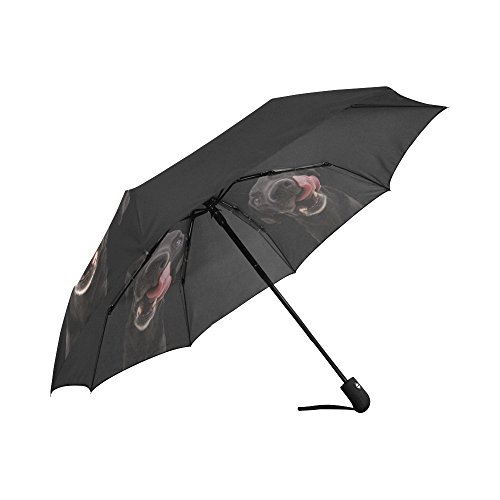 Interestprint Funny Labrador Dogs Windproof Auto Open And Close Folding Umbrella, Animal Pets Lightweight Outdoor Travel Sun And Rain Umbrella Uv Protection,Black #TOP2