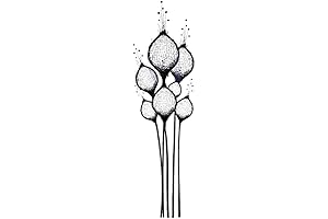 Lavinia Stamps - Fairy Thistles - Impression Obsession Stamps