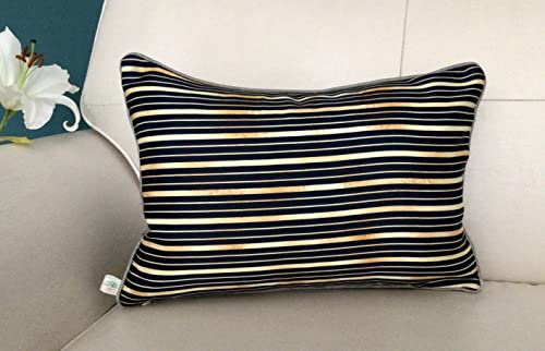 Image of TARA- Sparkling Homes 12 x 18 Inches Embroidered Velvet Cushion Covers, 'Padmini' from 'The Royal Collection', Set of 1 (Midnight Blue, 12 x 18 Inches)