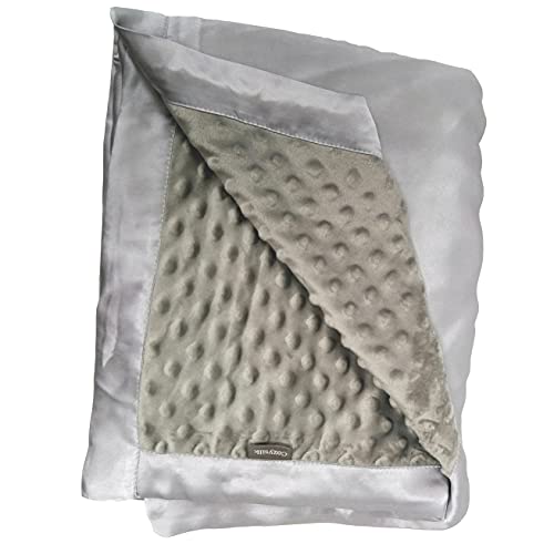 Cozysilk Baby Soft Silk Blanket - 100% Mulberry Silk On One Layer with Minky Plush Dot Blanket Backing - Reversible Double Layer, Gift for Girls/Boys Best for Summer (28 x 40 inch, Silver Grey)