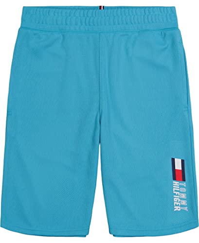 Tommy Hilfiger Boys' Sport Pull-on Training Short