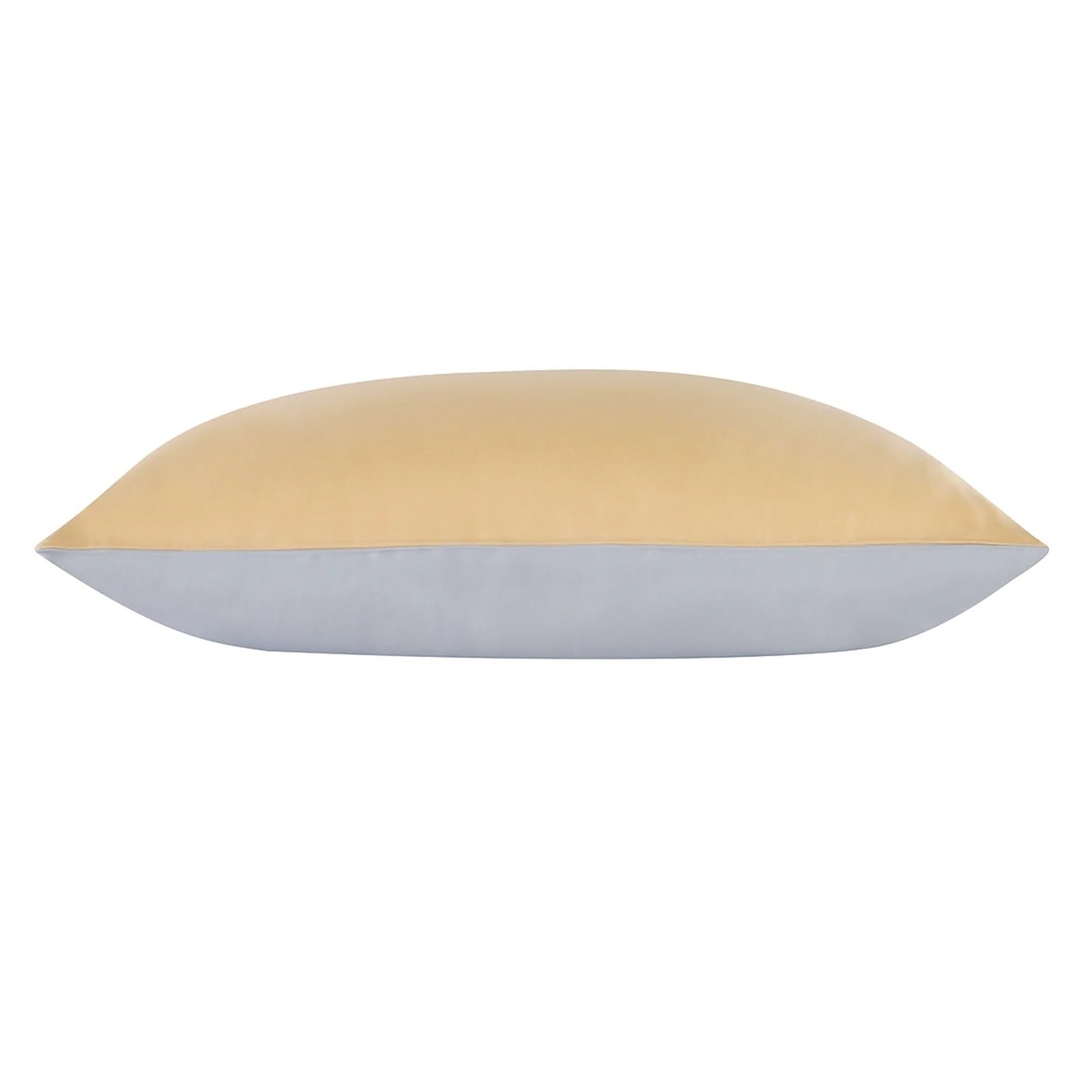 Silk Pillowcase 1pc Hidden Zipper Mulberry Muticolor Both Sides for Bedding(Champagne Grey,40x60 cm)