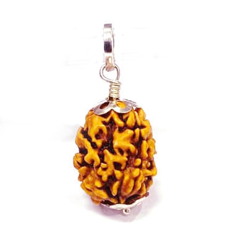 s kumar gems & jewels Three 3 Mukhi Silver(Pendant/Pandent) Certificate Nepali Rudraksha/Three Faced Rudraksh-picture-11