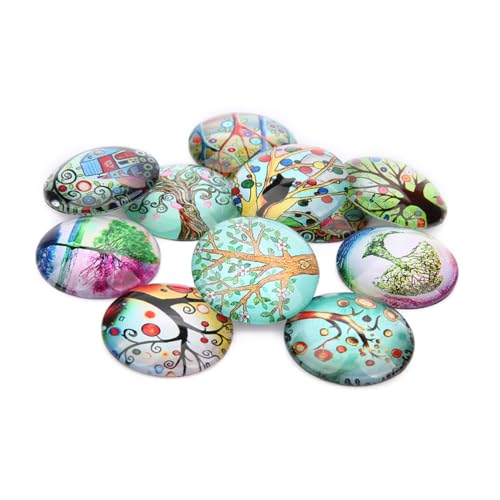 NOLITOY 20c[KXpb` ʍF ی^KXANZT[f ϋv WG[pp[c ANZT[ Ntg