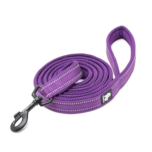TRUE LOVE Dog Leash Puppy Walking Lead Pet Chain Padded Reflective Night Safe Rope Length 110cm TLL2111 (Medium, Purple)