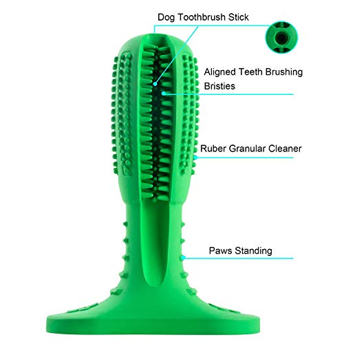 JIN CAN Cepillo para cepillos de Dientes para Perros, Juguete para Masticar como Perro, Cepillado para Limpieza de cepillos de Dientes [diseño Super Grande], Cuidado bucal y Cuidado Dental Verde 