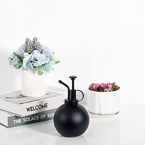 Imeea Plant Mister Spray Bottle Sus304 Stainless Steel Plant Spritzer Watering Can With Top Pump For Indoor Succulents Orchids Air Plants Garden #TOP5