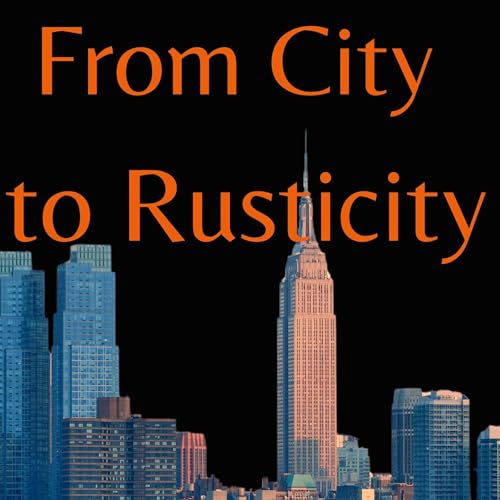 From City to Rusticity by Ndaba Sibanda episode artwork