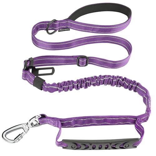 Chioratree Ȍp[h ^^p 4-6tB[g ՌzoW[^NeBJp[h Rg[pbhtnhƎԂ̃V[gxgtAsg[jOp˃[hAp[v