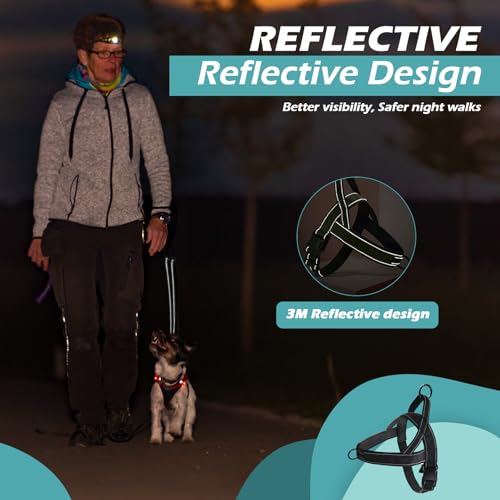 Arnés para perros con correa, correa antitracción y arnés, sin enredos, correa doble, arnés reflectante ajustable, para pasear y entrenar para perros de tamaño mediano (L) - imagen 4