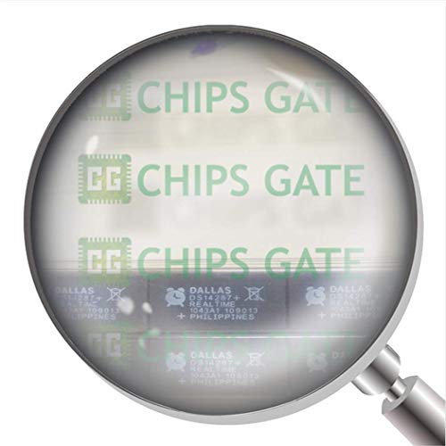 DS14287 2Pcs DS14287