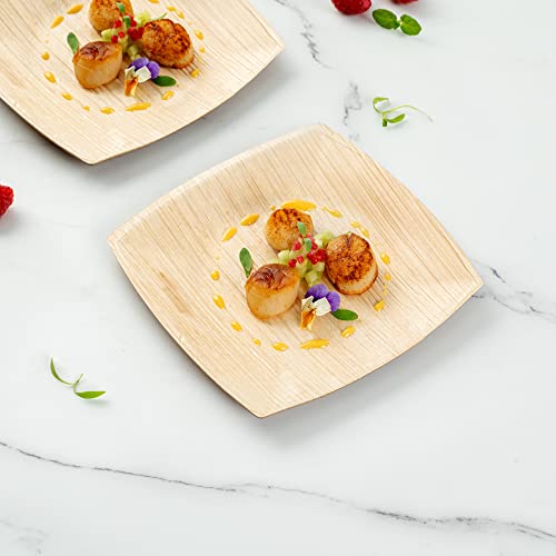 Image of Restaurantware Midori 6 x 6 Inch Medium Square Palm Plates 100 Microwavable Palm Leaf Plates - Freezable Sustainable Areca Palm Leaf Plates Oven-Ready For Hot & Cold Foods