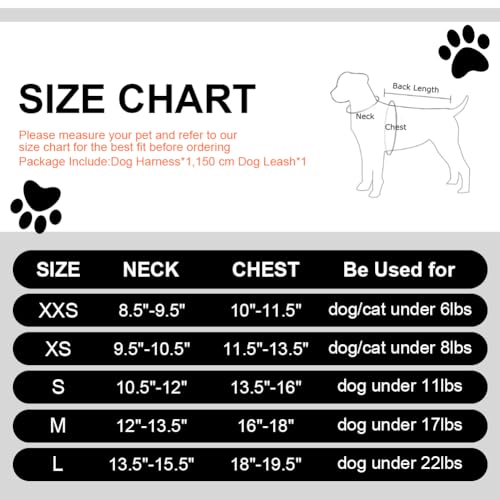 Doggiekit Hundegeschirr Kleine Hunde mit Leine, verstellbares reflektierendes Step in Welpengeschirr Leine, Atmungsaktives Mesh Hundegeschirr,weich gepolsterte Weste für extra kleine/mittelgroße Hunde