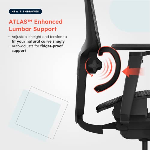 Ergotune Supreme Ergonomic Office Chair - Adjustable Backrest Desk Chair, Lumbar Support, Headrest, 5D Armrests - High Back Breathable Durable Mesh Recline (Charcoal Black) #TOP2