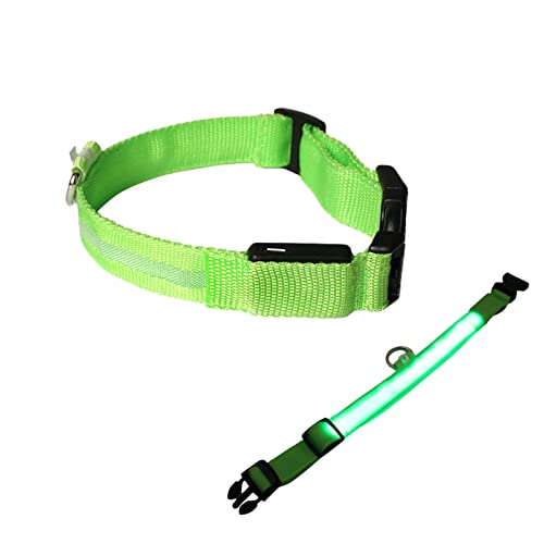 Collare per cani luminoso a LED | Collare luminoso a LED per cani | Collare di sicurezza a LED con luce notturna anti-smarrimento regolabile, di sicurezza per animali domestici Adawd