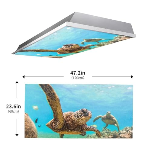Image of 2 Pack Fluorescent Light Cover for Ceiling Light Classroom-Sea Turtle Magnetic Light Cover Fluorescent Light Shade Panel, Decorative Film Filter for Reducing Harsh Glare Home Decorations
