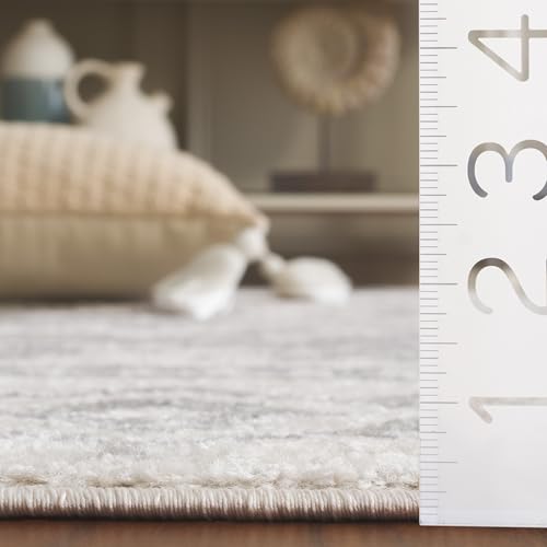 Tapete Safavieh Adirondack 9' x 12' Ivory Silver miniatura 5