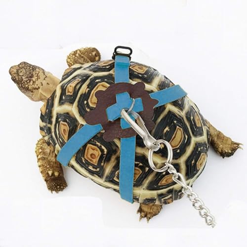 Adjustable Harness & Leash Set Strap for Turtles Small Pet Leash Walking Rope for Tortoise Outdoor Walking Training Control Rope (Blue,S)