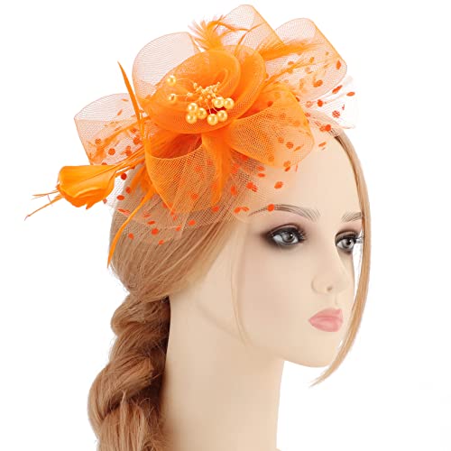 Image of DRESHOW Fascinators Hat Flower Mesh Ribbons Feathers on a Headband and a Clip Tea Party Headwear for Girls and Women