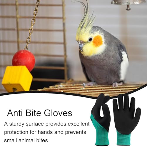 Eventerde Bissfeste Handschuhe - Anti Biss Arbeitshandschuhe, Schützen Sie Ihre Hände Vor Bissen, Umgang Mit Haustier