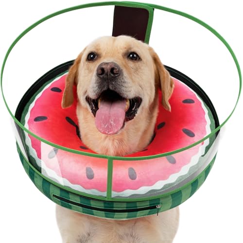 Collier en forme de beignet pour chien cône gonflable pour le repos