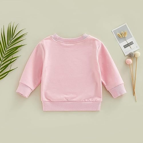 Image of Baby Boy Girl Pumpkin Sweatshirt Tops Toddler Halloween Outfit Long Sleeve Crewneck Pullover Sweater Shirt Fall Clothes