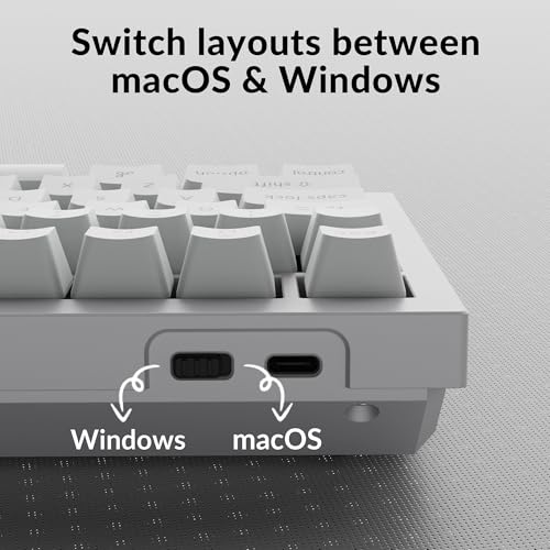 Image of Keychron Q1 RGB Wired Custom Mechanical Keyboard, 75% Layout QMK /VIA Programmable Macro with Hot-swappable Gateron G Pro Blue Switch Double Gasket Compatible with Mac Windows Linux (White) -Version 2