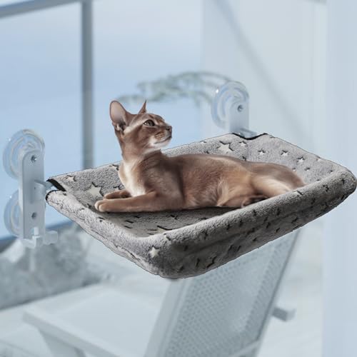 LSAIFATER - Percha de seguridad para ventana de gato, con soporte in
