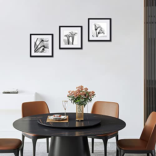 Black And White Flower Wall Art Abstract Decor Transparent Floral Canvas Print For Home Decorations A Set Of Tulip Printed Posters Painting Pictures 3 Piece Framed Photos Black Frames #TOP4