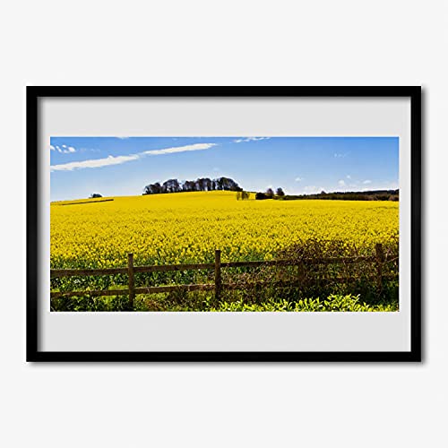 Cadre de qualité supérieure avec affiche paysage de plantes 70x50cm