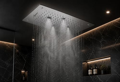 Image of Aquieen 2 inlet rain and mist shower SS304 Ceiling Shower (10 x 15 Rain + Mist)