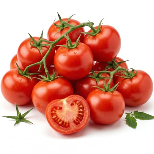 300 Moneymaker Tomato Seeds for Planting - Prolific Indeterm...