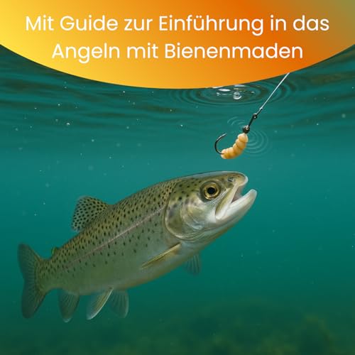 Lebende Bienenmaden – 3er Set (ca. 120 STK) – Premium Angelköder für Forellen & Saibling – Frische, aktive Ködermaden für Pose, Grundblei & Sbirolino – Lebendfutter
