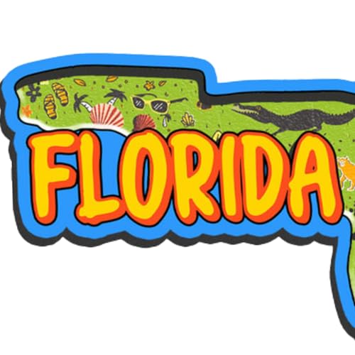 Imán decorativo mapa de Florida 3 pulgadas miniatura 4