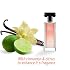 AVON Sweet Honesty Cologne for Women Fresh Cedarwood Long Lasting Perfumes for Women Clean Floral Womens Fragrances with Rose and Lily, 1.7 fl oz Designer Womens Perfume Gift