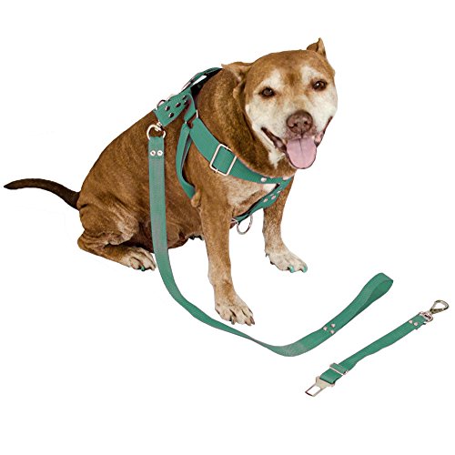 Peitoral Cachorro com Guia e Adaptador serve Pit Bull Labrador