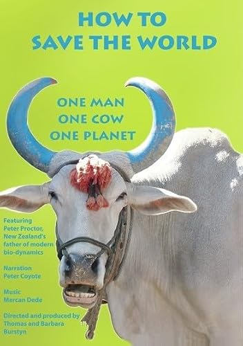 How To Save The World [Edizione: Stati Uniti]