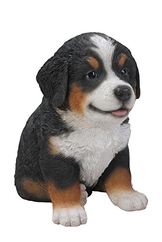 Estatua cachorro de perro Bernese Mountain Dog miniatura 6