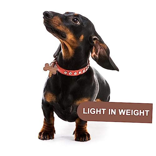 Étiquettes d'identification os de chien gravées médaillon personnalisé collier x3