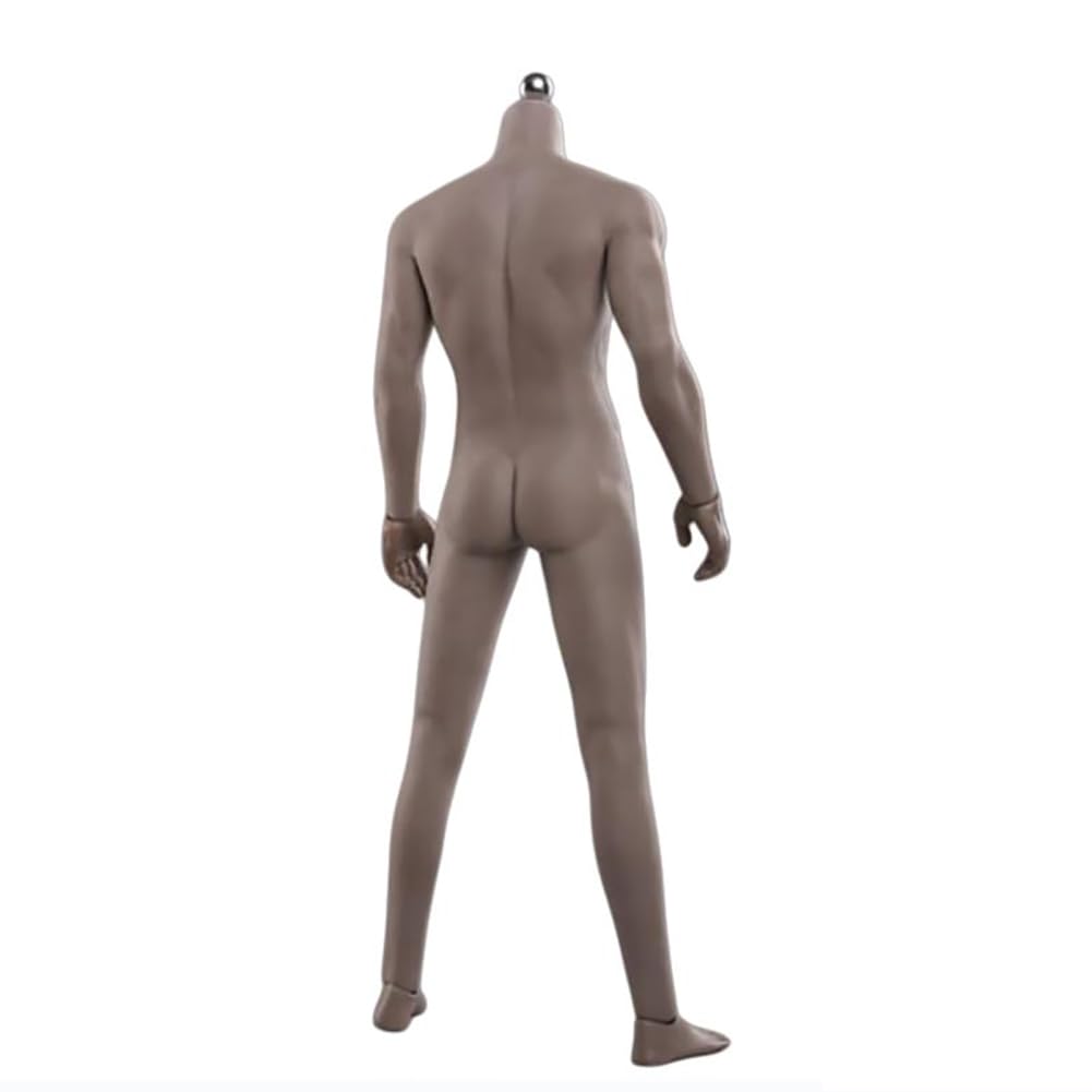 SOUFORCE 1/6 Scale Muscle Male Body 12in JIAOU Doll Black Skin Flexible Seamless Action Figure Doll Miniature Figure Body Without Head Sculpt