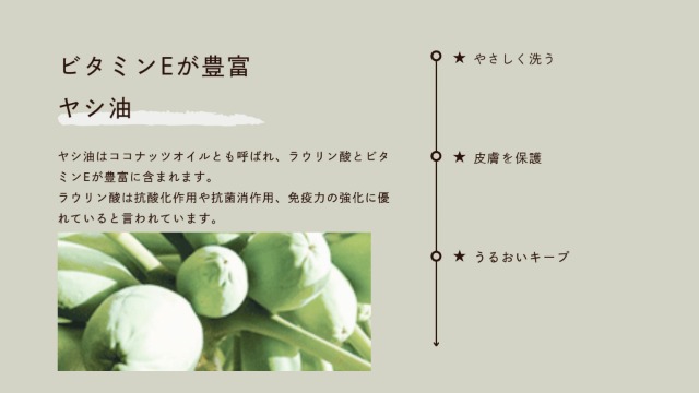 Amazon | マウ (Mau) ヤシの実シャンプー 〔4L〕 〔m-012〕 | Mau