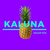 Solar Fox