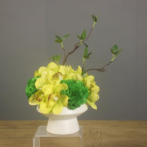 HGJH lHϗtA  ̂юѕ tFCNt[  DIY {  CeA X fBXvC  Vzj zj  VNt[AWg ₷ F v[g J[1