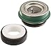 Pentair U109-136SS Shaft Seal Replacement Pool and Spa Commercial Pump