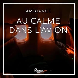 Page de couverture de Au calme dans l&rsquo;avion