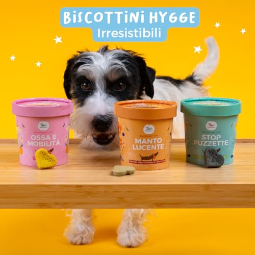 Hygge-Dog-Biscotti-per-Cani-Buonanotte-Biscottini-100-Naturali-gusto-Camomilla-Valeriana-Premietti-Cane-adatti-ideali-per-Addestramento-Tutte-le-taglie-ed-eta-Scorta-per-1-mese-100-gr