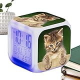 Photo Gallery jingmiger sveglia gatto per,allarme gatto - orologio da tavolo cubo sveglia led | orologio per gli amanti dei gatti con grande schermo per la stanza della classe, la camera dei bambini, il soggiorno Photo Gallery jingmiger sveglia gatto per,allarme gatto - orologio da tavolo cubo sveglia led | orologio per gli amanti dei gatti con grande schermo per la stanza della classe, la camera dei bambini, il soggiorno