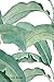 Produktbild Address Book: For Contacts, Addresses, Phone, Email, Note,Emergency Contacts,Alphabetical Index With Tropical Summer Pattern