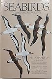 Seabirds: An Identification Guide