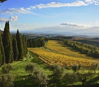 お誕生日のプレゼントに最適！Chianti Classico 1969 Chianti Melini キャンティ クラシッコ 196